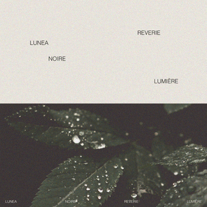 二次元掀裙子打屁屁到红的游戏
