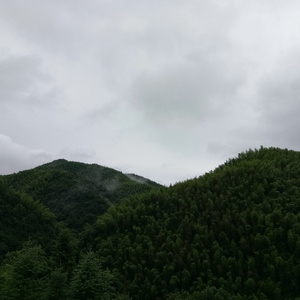 二次元掀裙子打屁屁到红的游戏
