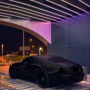 二次元掀裙子打屁屁到红的游戏
