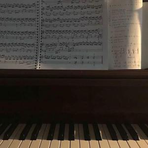 二次元掀裙子打屁屁到红的游戏
