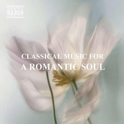 二次元掀裙子打屁屁到红的游戏
